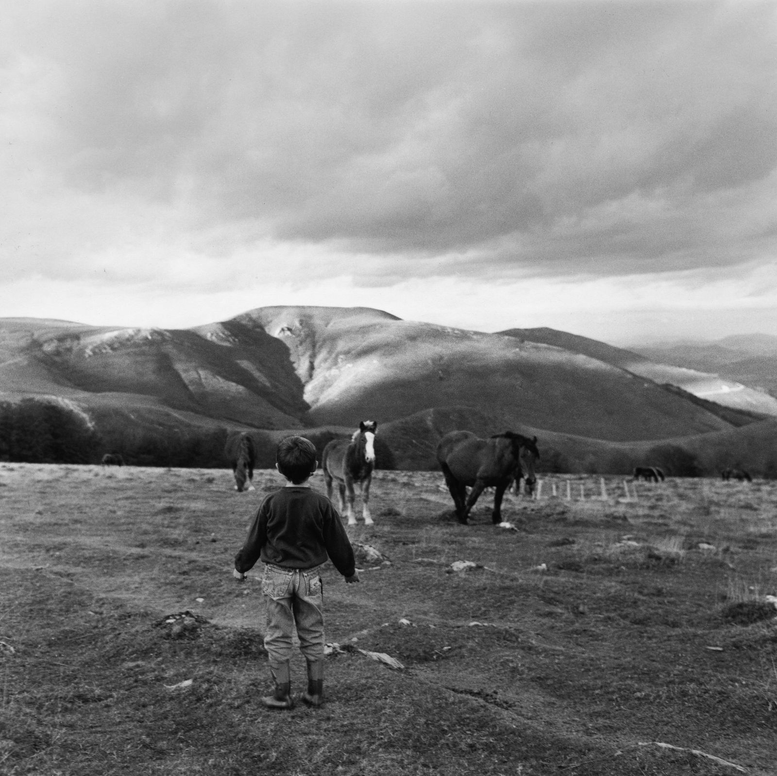 Anne Rearick, Horses, Château Pignon, Saint-Michel, France, 1991