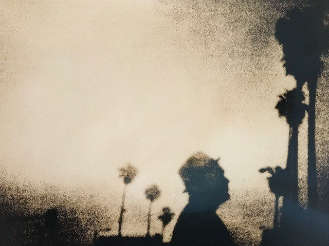 Guillaume Zuili, Mister C on Sunset Boulevard, 2009