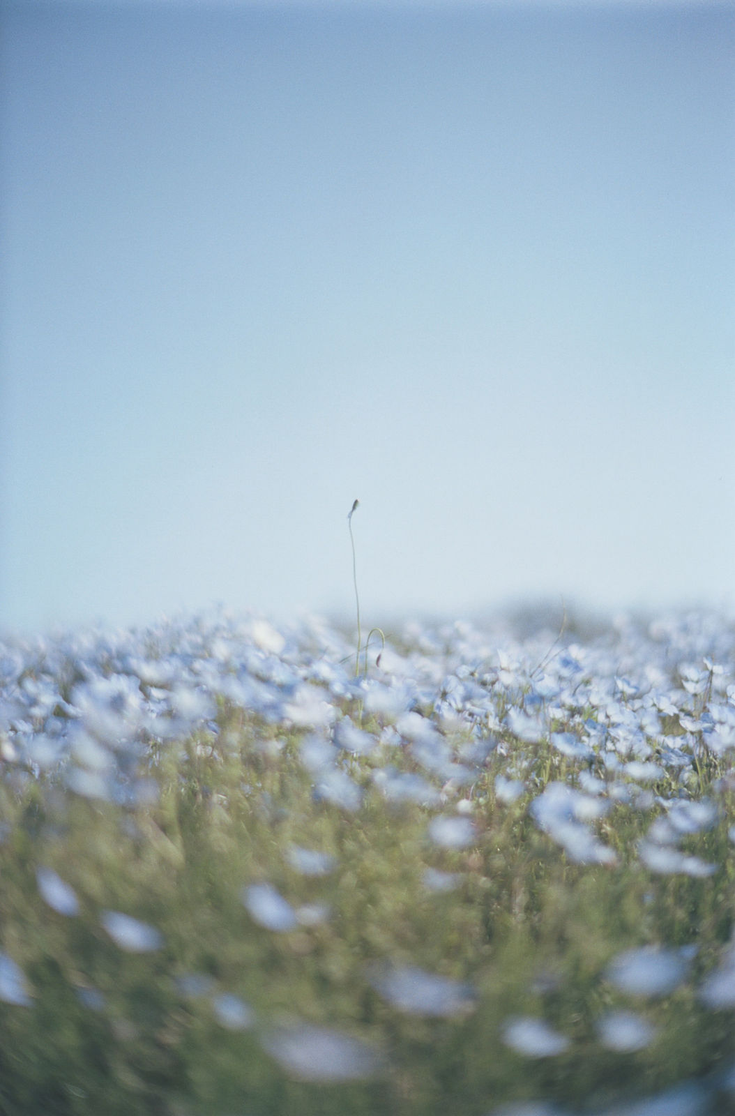 Mikiya Takimoto, LUMIÈRE #55