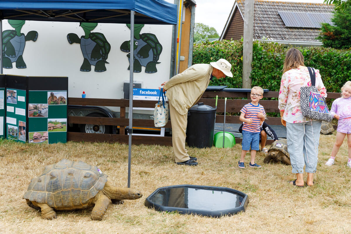 Martin Parr, Portishead Summer Show, Wales, 2022