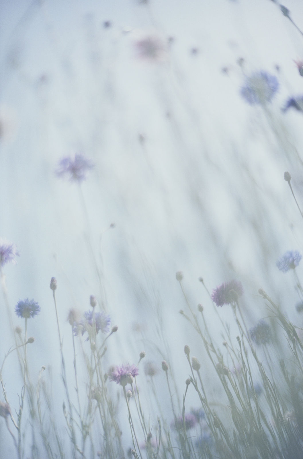 Mikiya Takimoto, LUMIÈRE #133