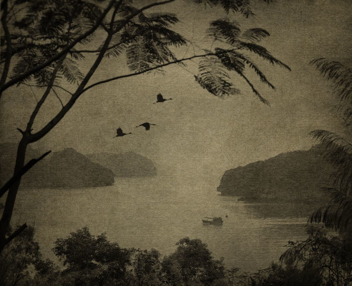 FLORE, Esquisse pour une estampe chinoise, 2022