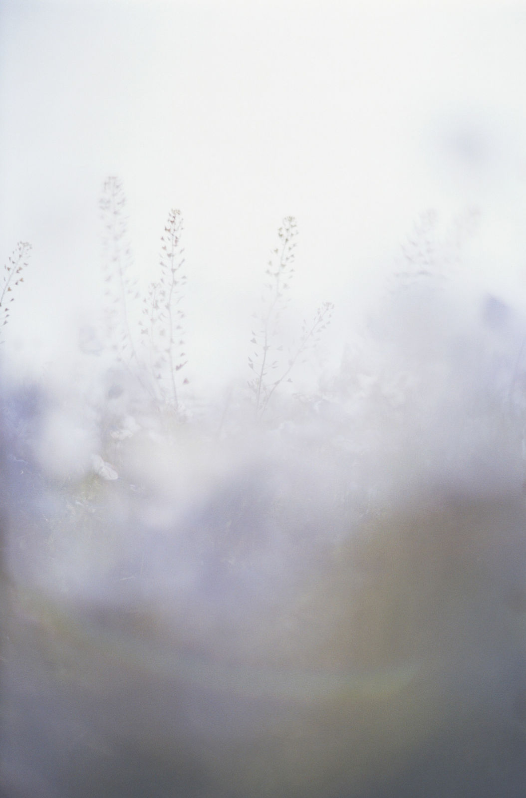 Mikiya Takimoto, LUMIÈRE #52