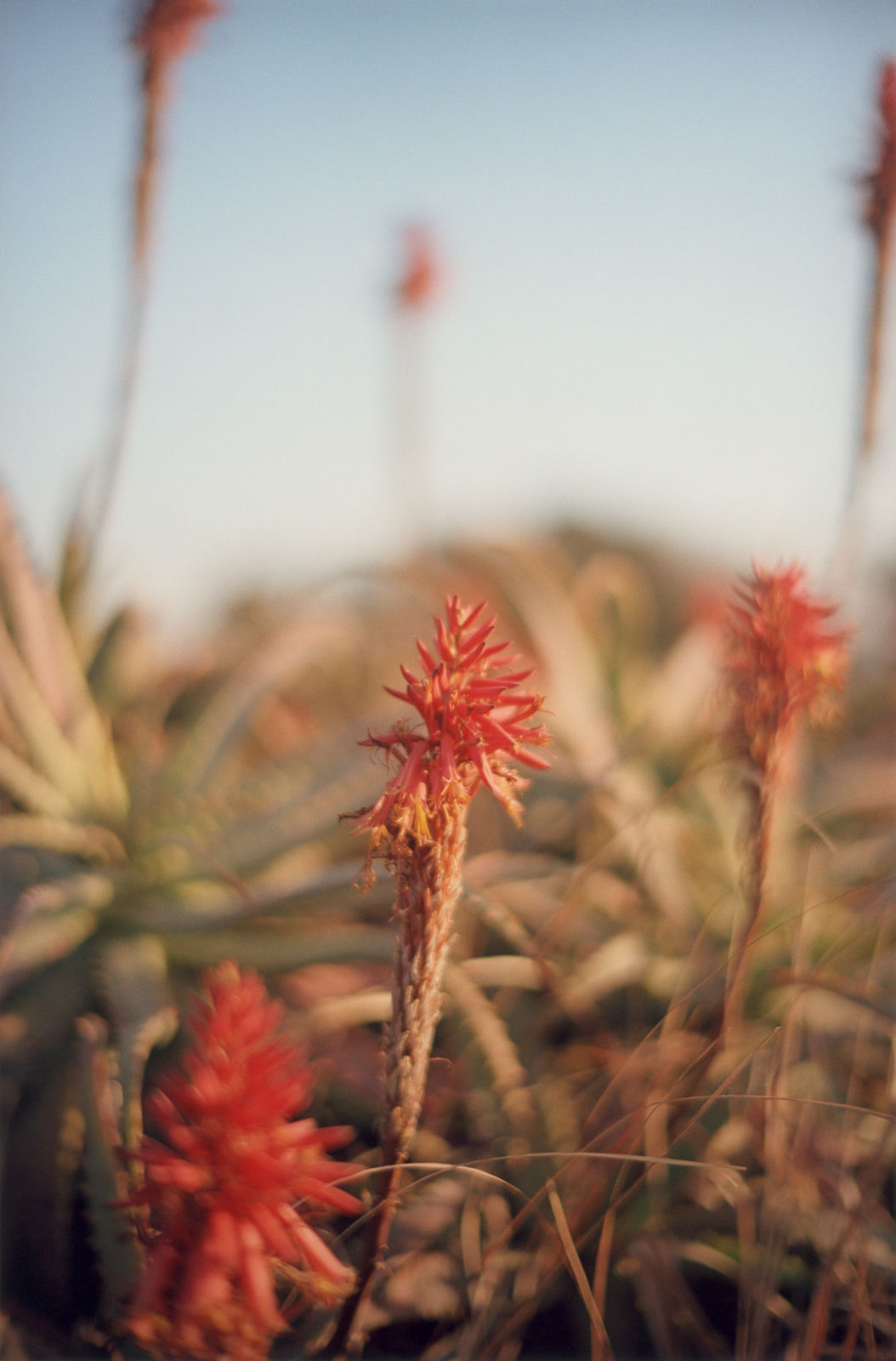 Mikiya Takimoto, LUMIÈRE #103