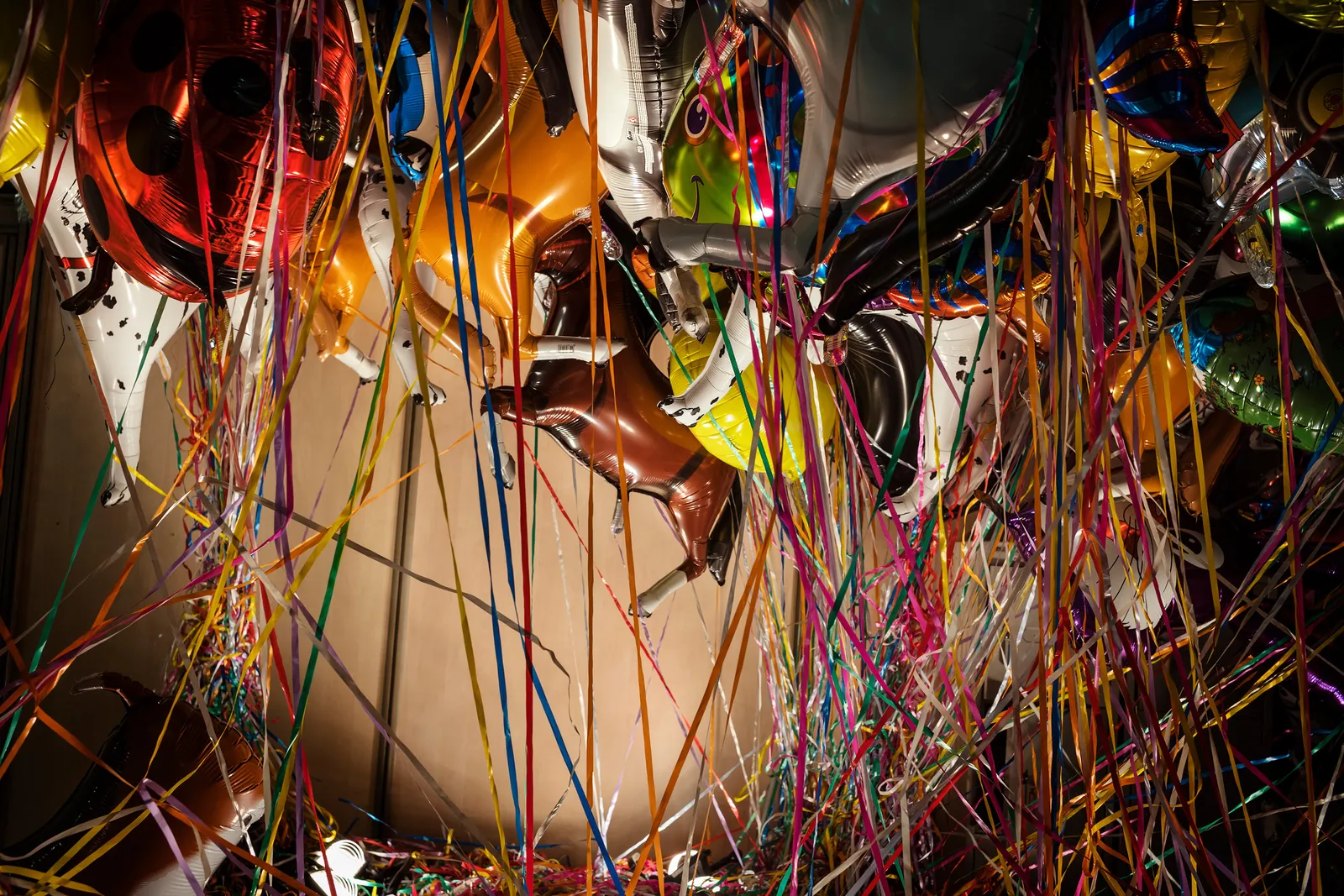 Thomas Klotz, Eve 5, 2019