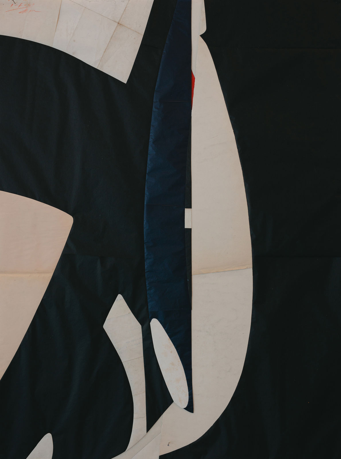 Jesse Willems, Morphe, 2024