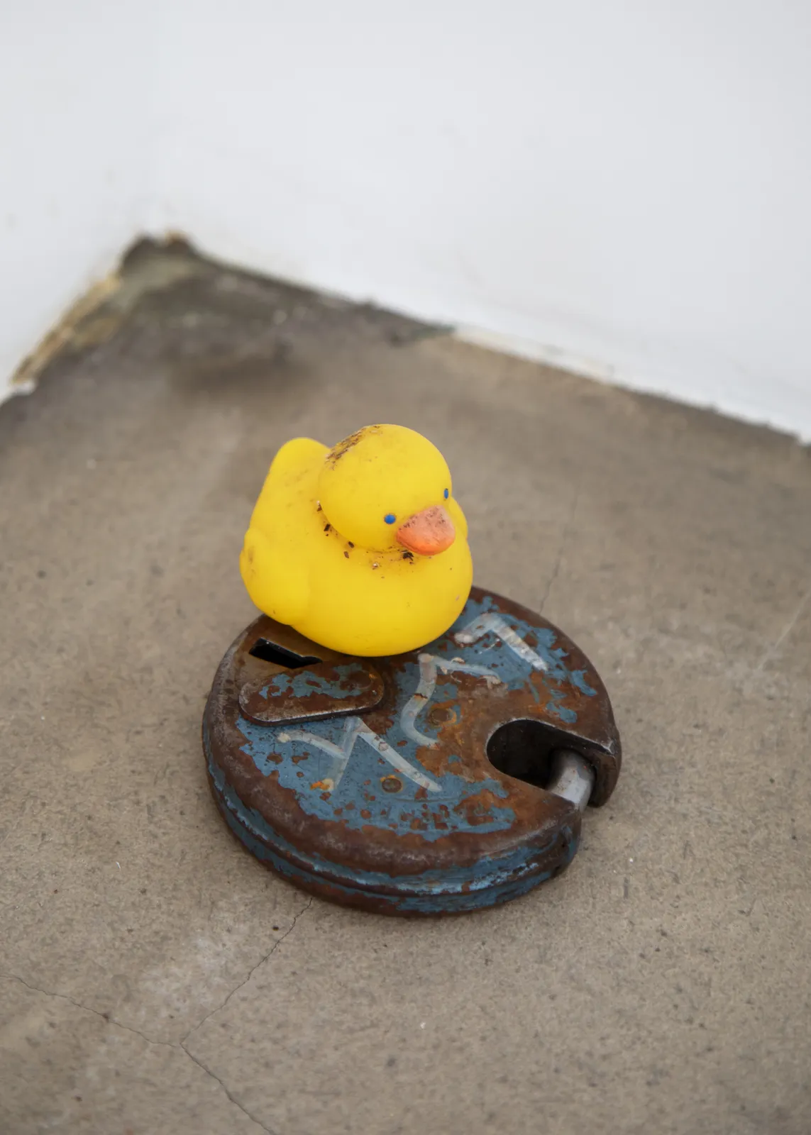 Enzo Mianes, Un petit coin de paradis, 2022