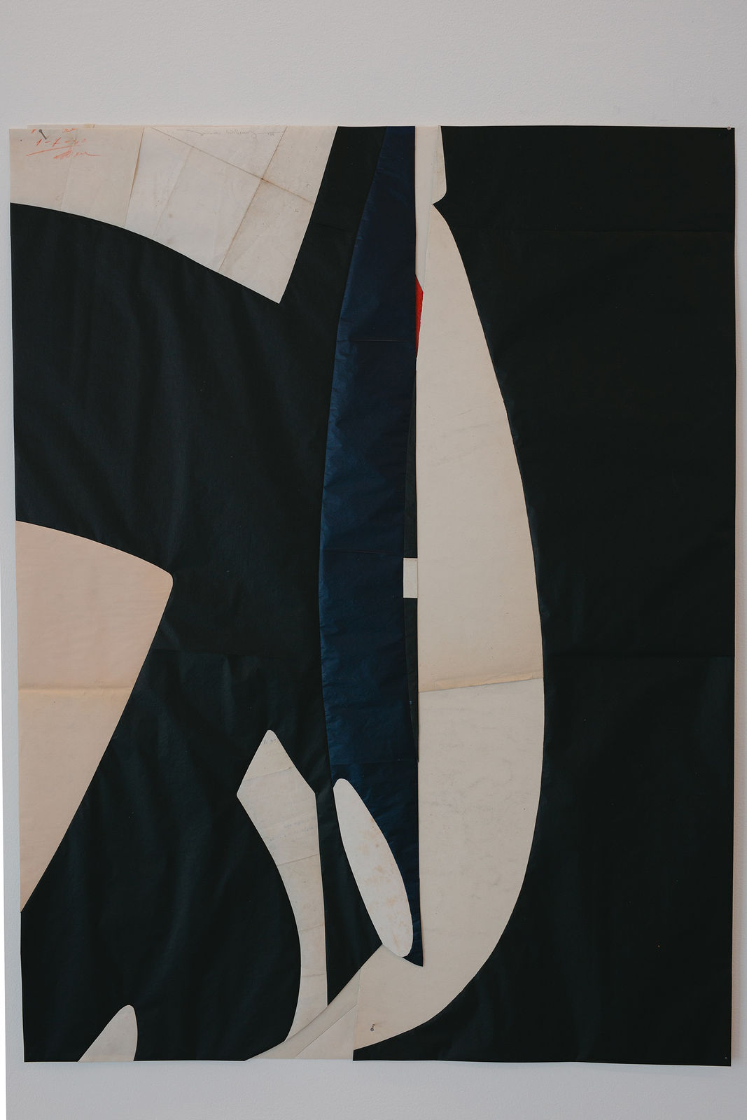 Jesse Willems, Morphe, 2024