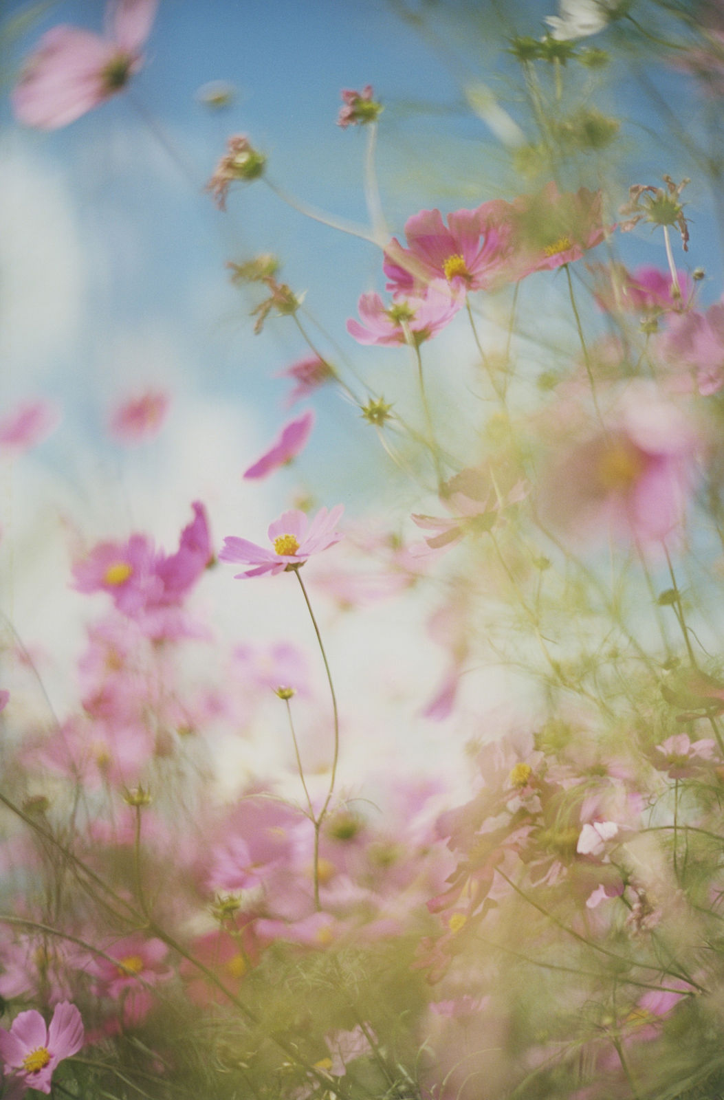 Mikiya Takimoto, LUMIÈRE #49