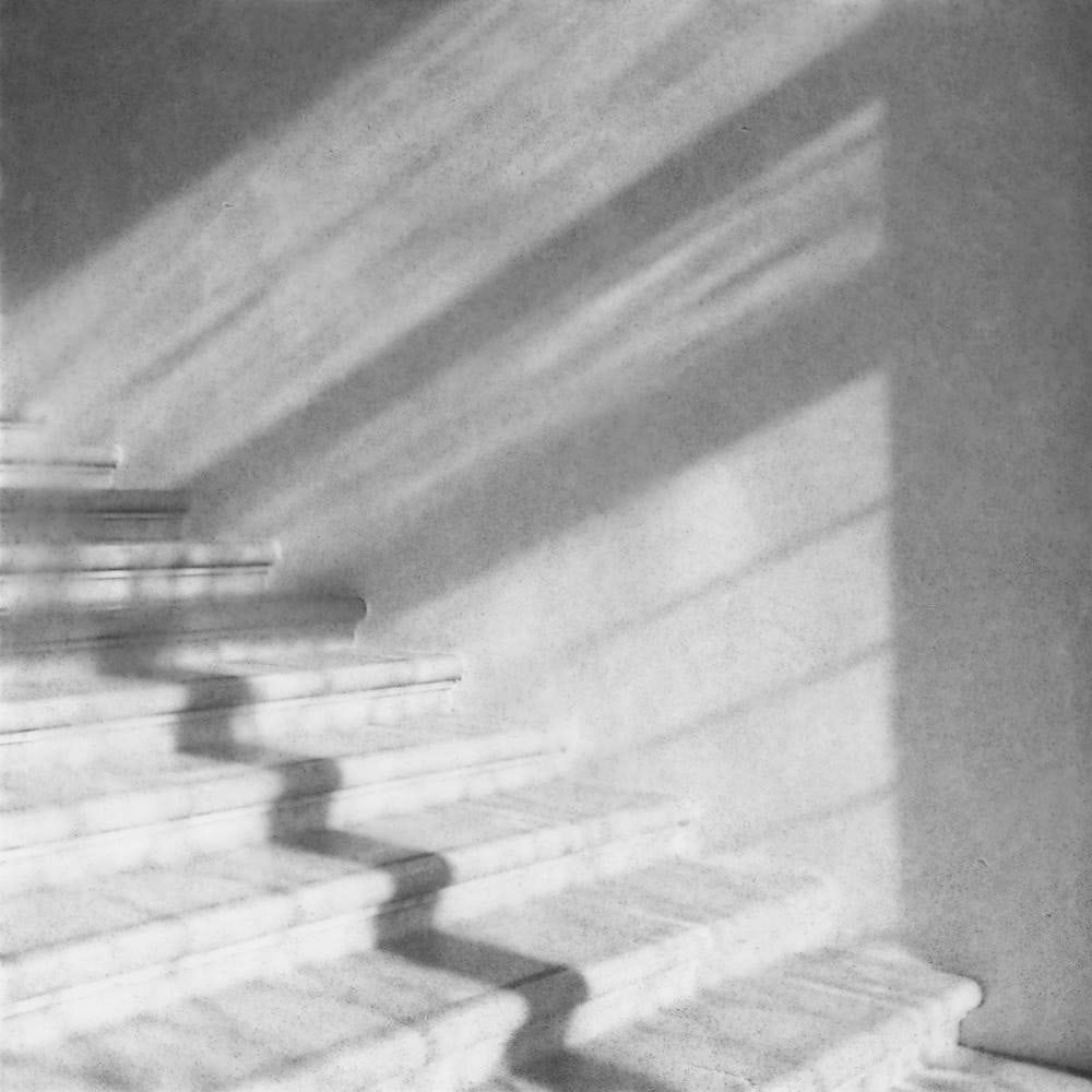 FLORE, Sans titre , 2012