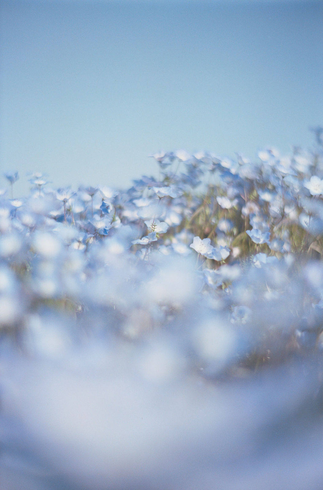 Mikiya Takimoto, LUMIÈRE #54