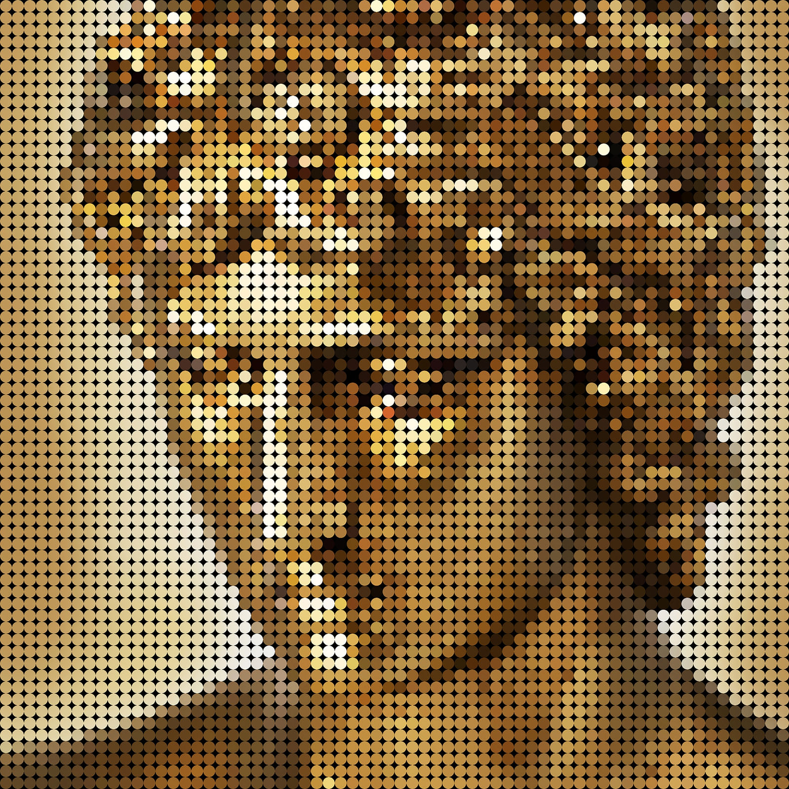 André Monet, Apollo gold, 2022