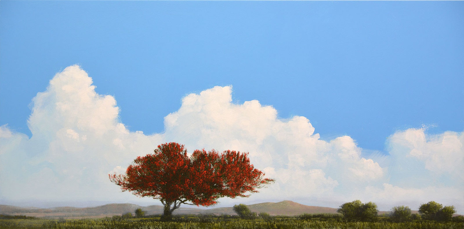 Robert Marchessault, Woburn Highland, 2022