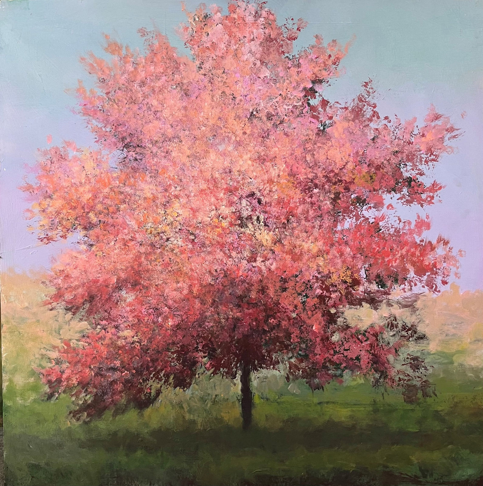 Peter Hoffer, Chantel Blossom, 2024