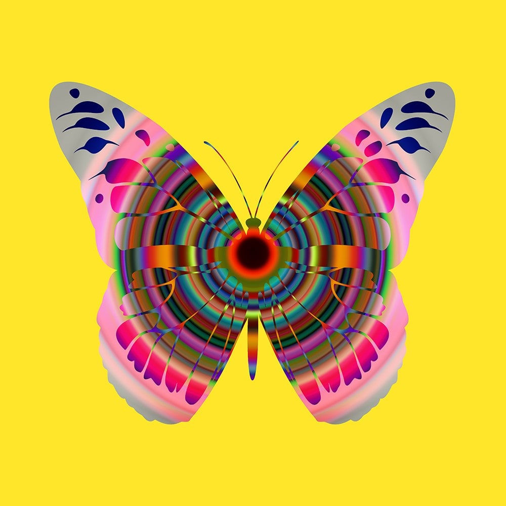 Franco DeFrancesca, Glitter, 2025