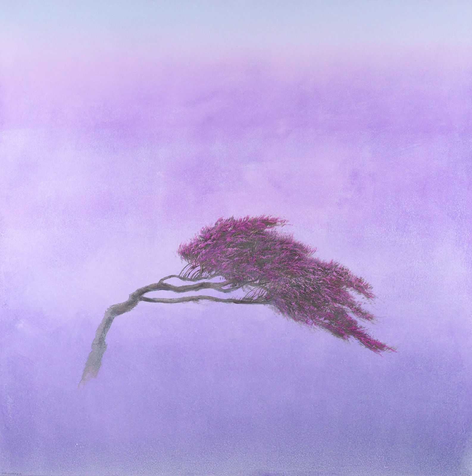 Robert Marchessault, Alizriana, 2025