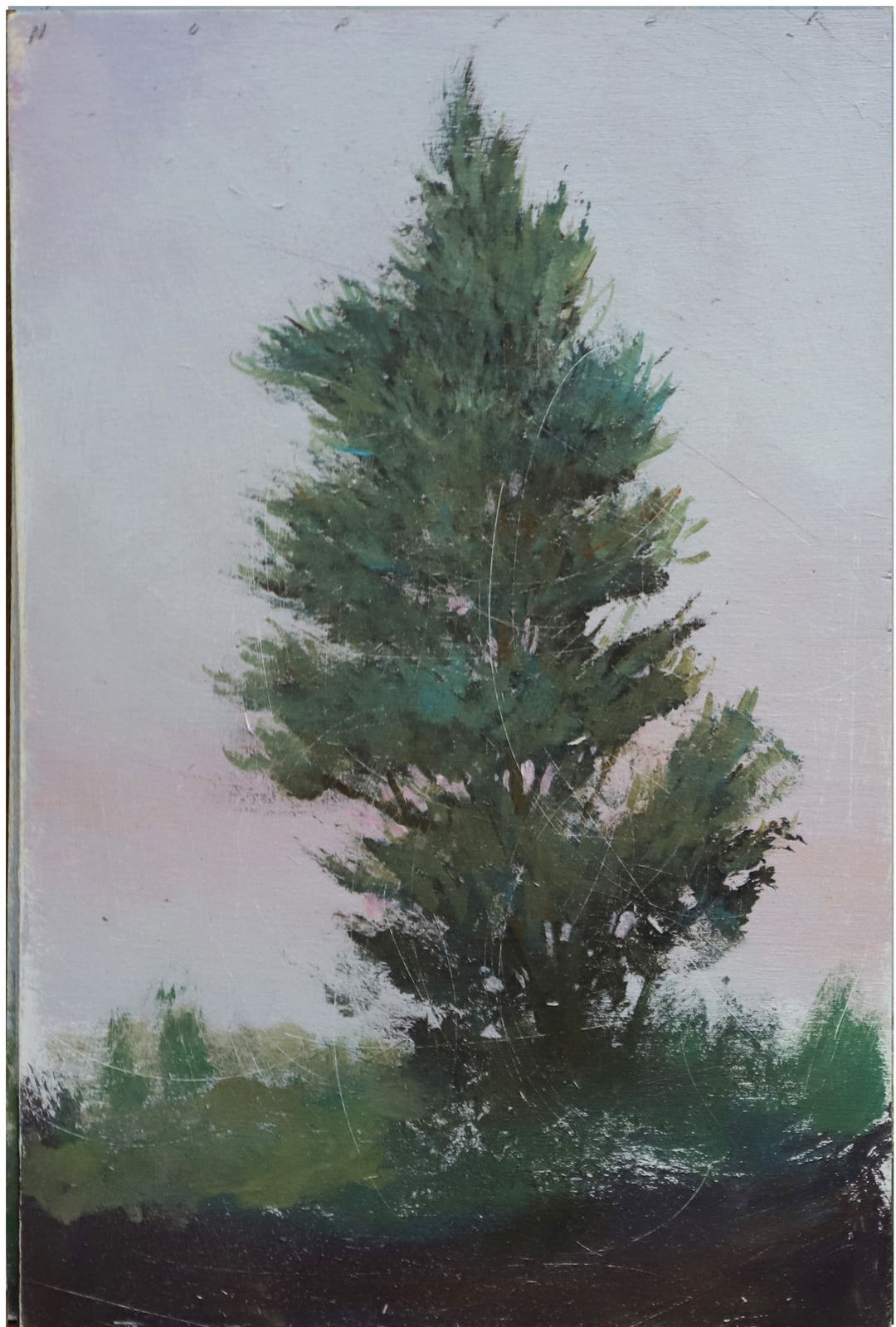 Peter Hoffer, Forrest (220205), 2020