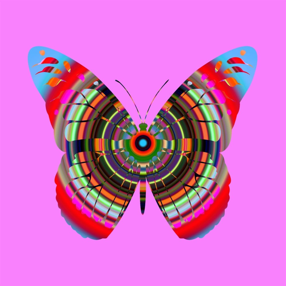 Franco DeFrancesca, Burst, 2022