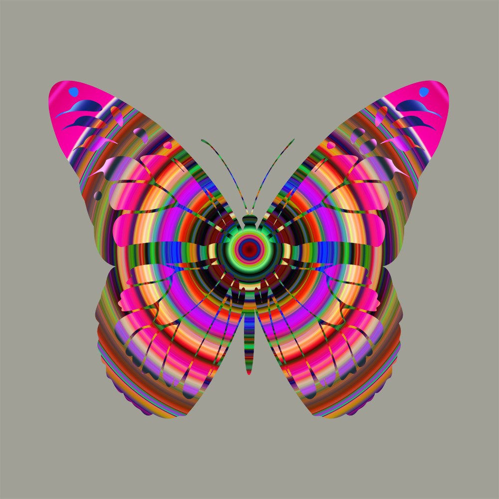 Franco DeFrancesca, Syncopated Interval, 2022