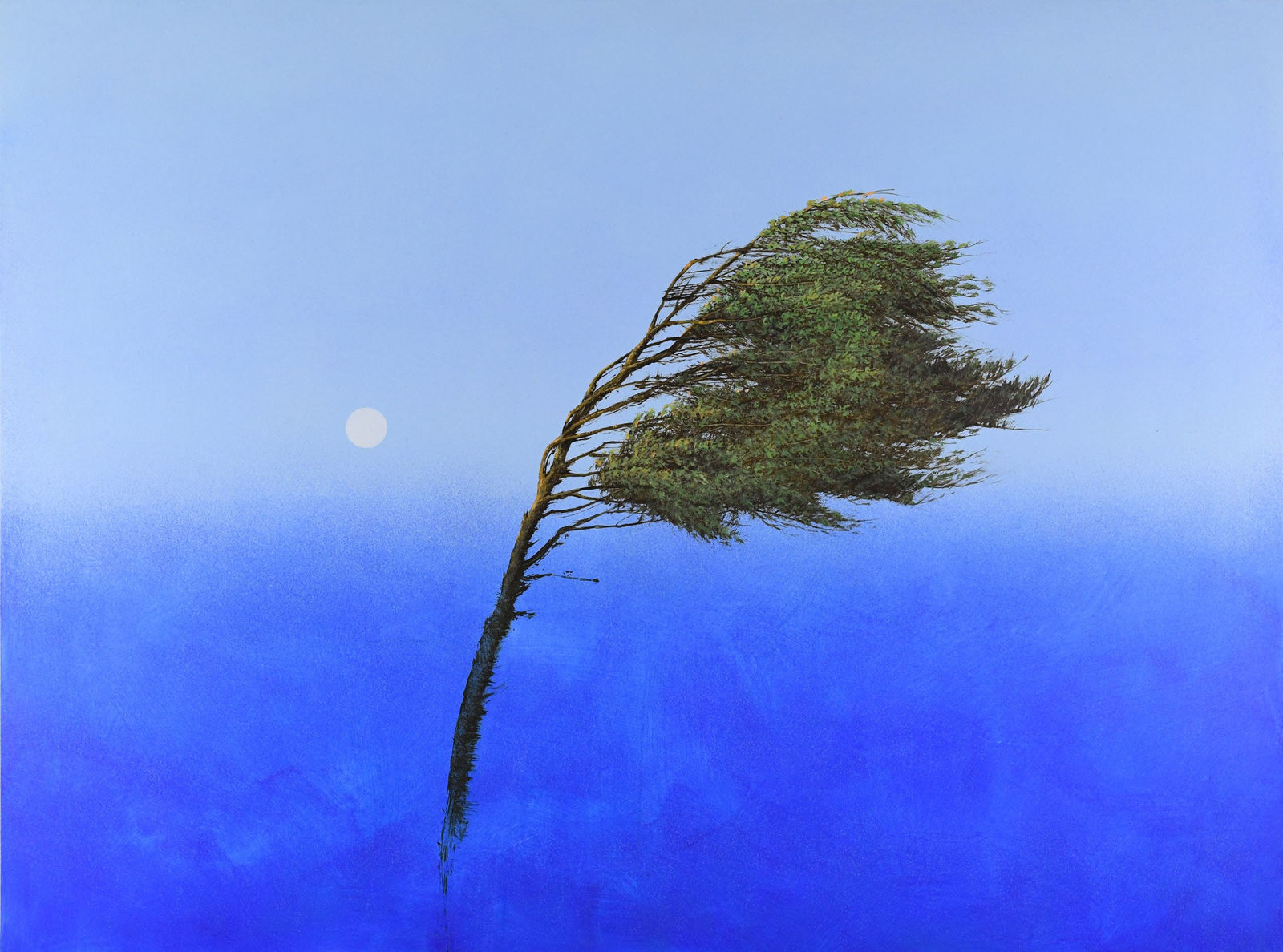 Robert Marchessault, Maha Winds, 2025