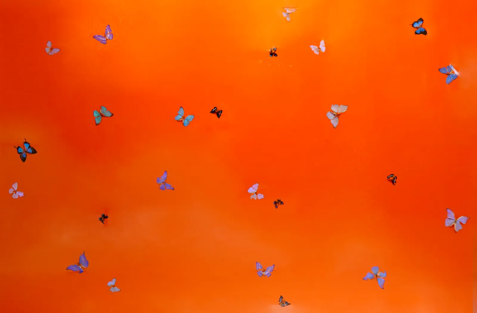 Damien Hirst, The Sunshine in You, 2007