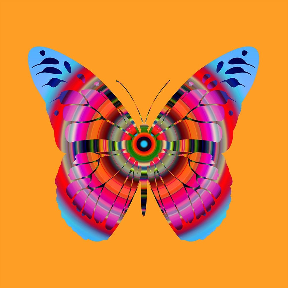 Franco DeFrancesca, Cognitive Infiltration , 2024