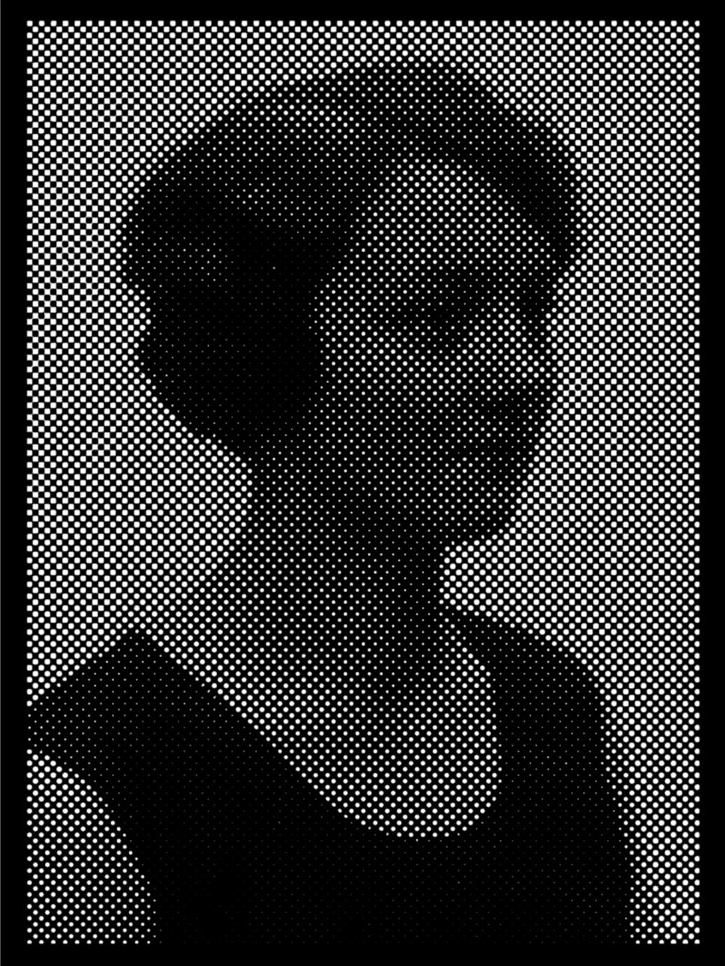 Anne-Karin Furunes, Portrait of Pictures / IX, 2013