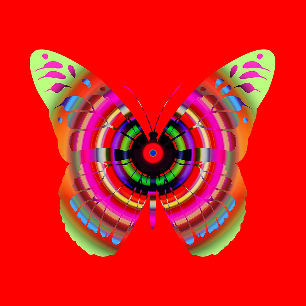 Franco DeFrancesca, Neurotransitory, 2025