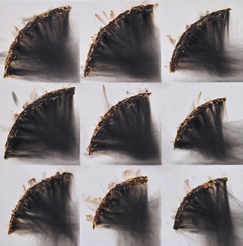 9 Etats BRN V-IX, 1993