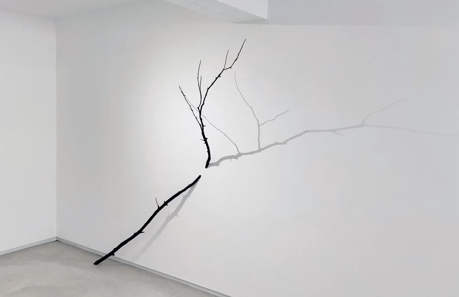 CRISTINA ALMODOVAR, INTERSECTION, 2025