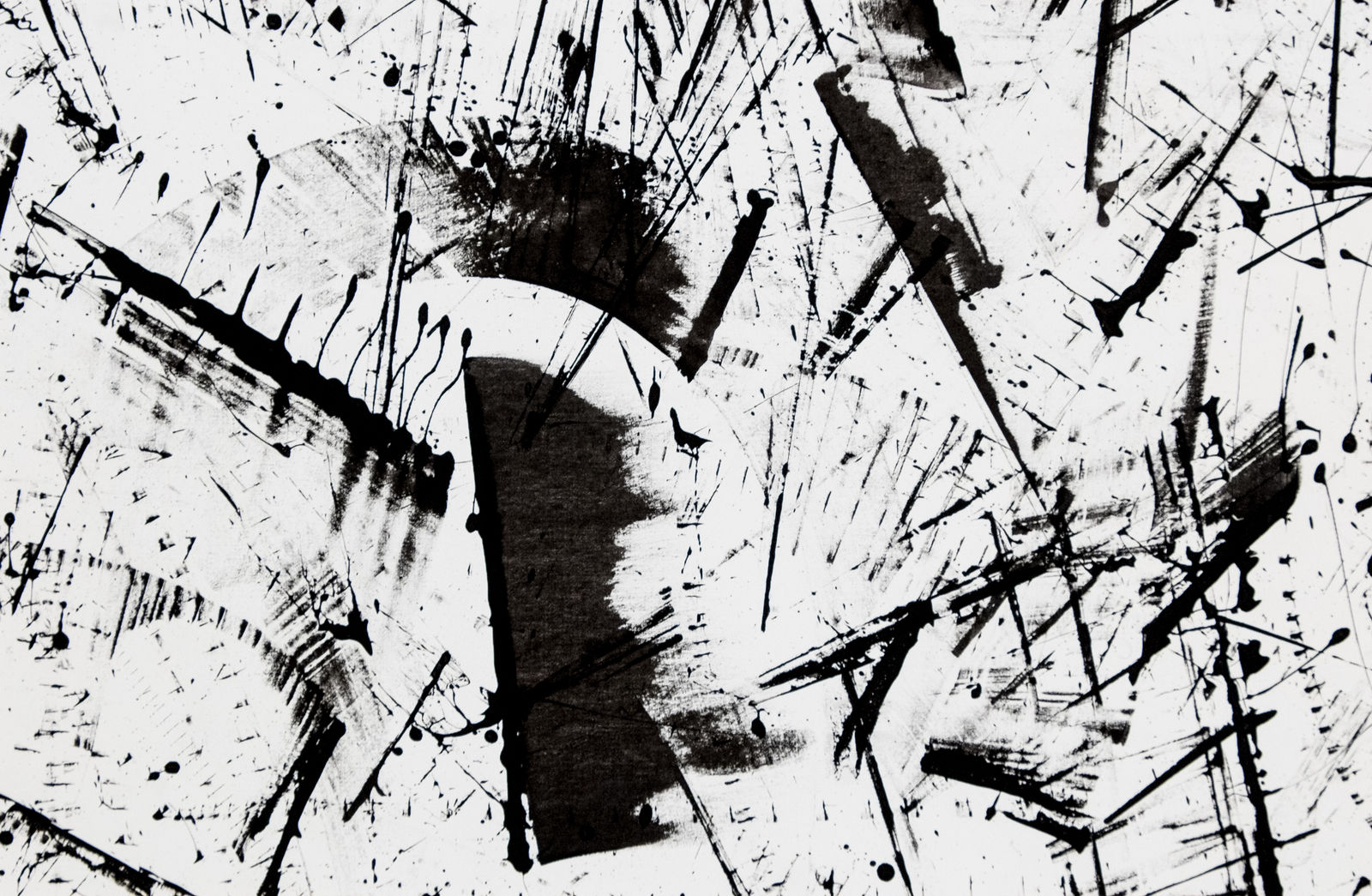 PIPPO LIONNI, 20170929.1 43°11°, 2018