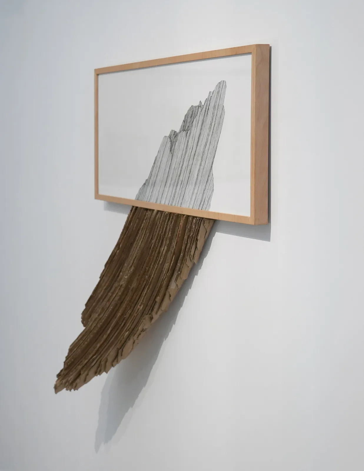 CRISTINA ALMODOVAR, ÉCORCE. Insertion, 2024