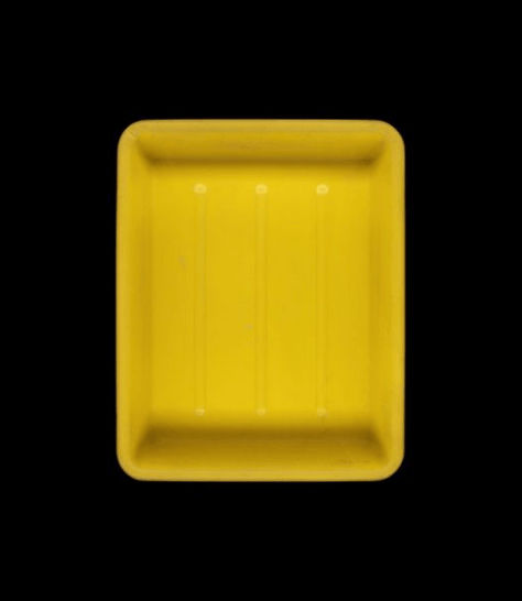 Cuvette de développement n°15, Paris, 2020