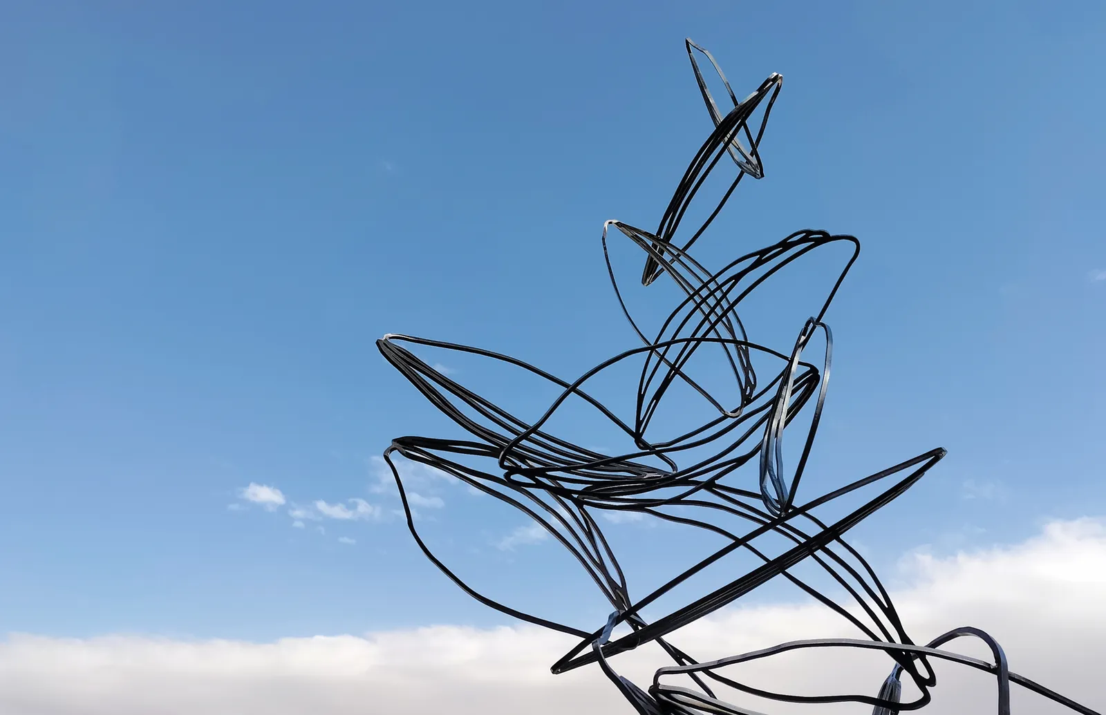 CRISTINA ALMODOVAR, DIFFUSION, 2025