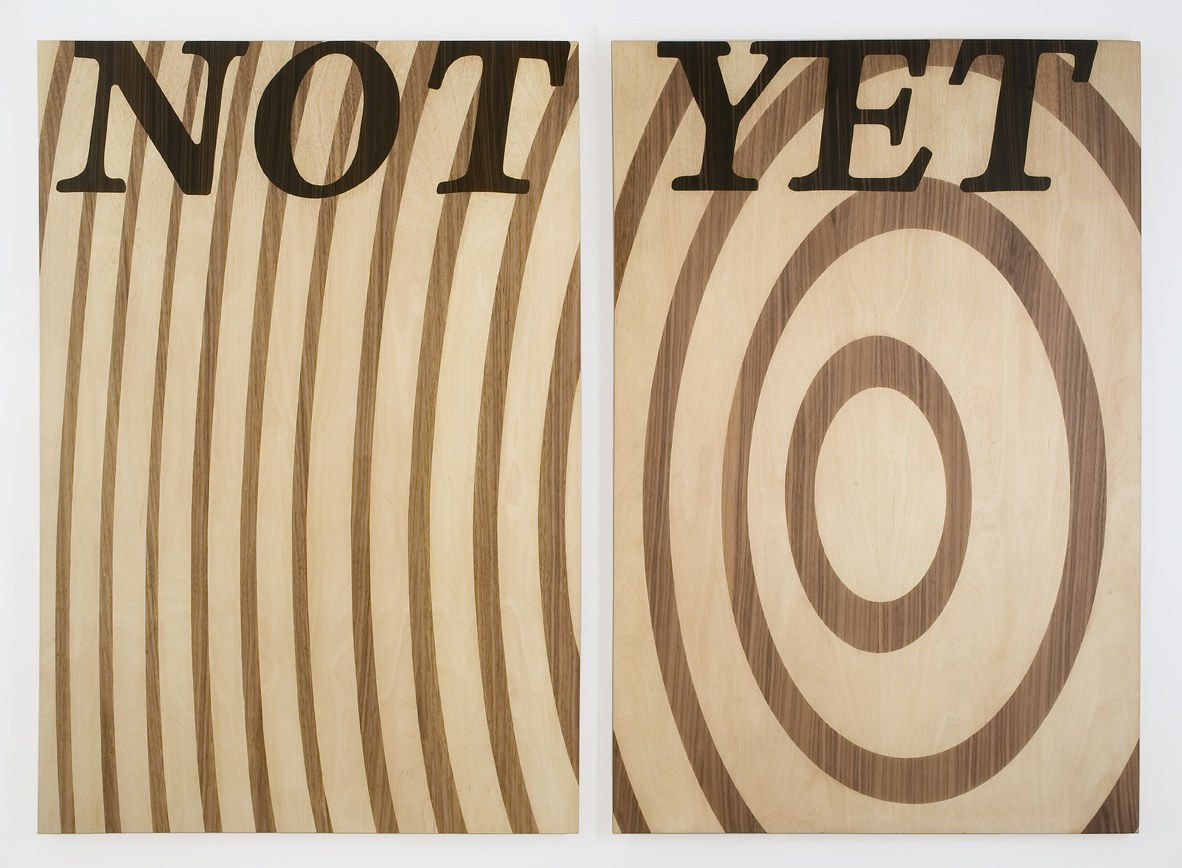 Agnès THURNAUER, Not yet , 2012