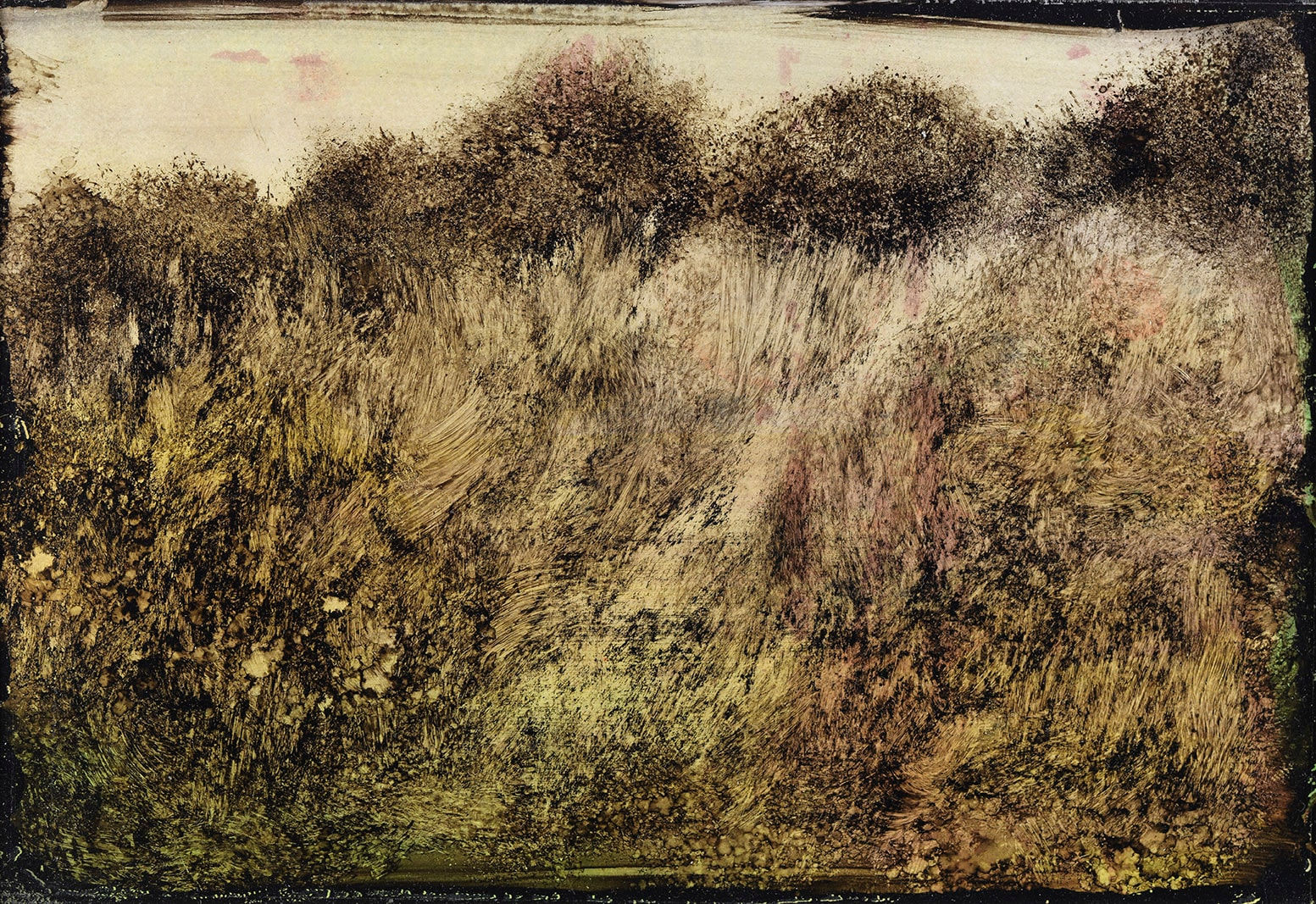 Pascal BAZILE, Verger sauvage , 2022