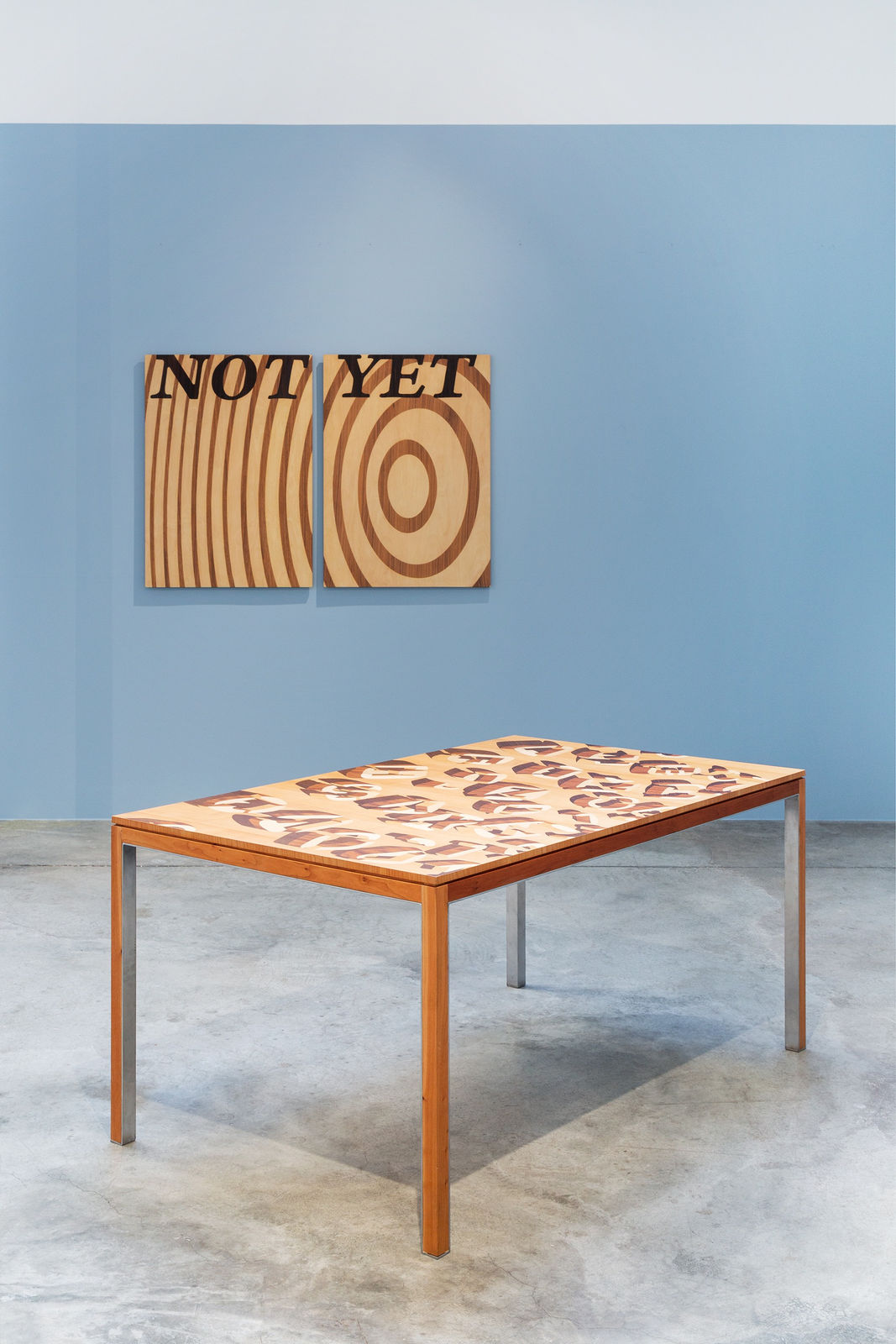 Agnès THURNAUER, Not yet , 2012