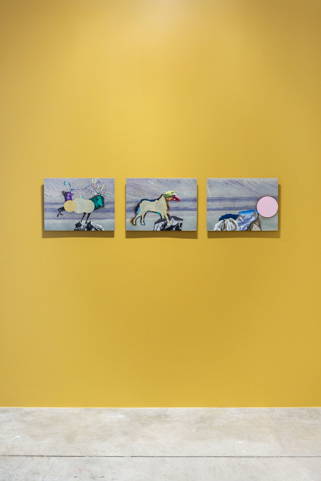 Daniel SCHLIER, Lune rose , 2016