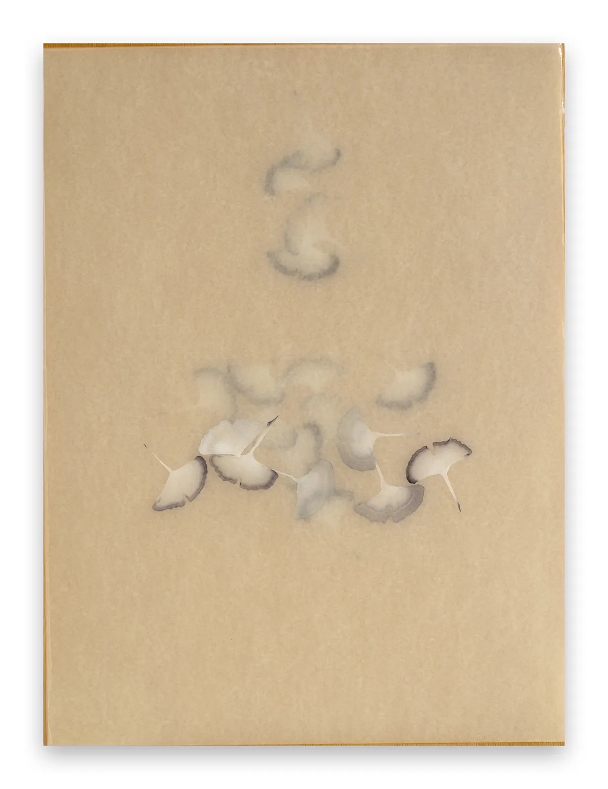 Christine Brunella, Poem (R2556), 2025