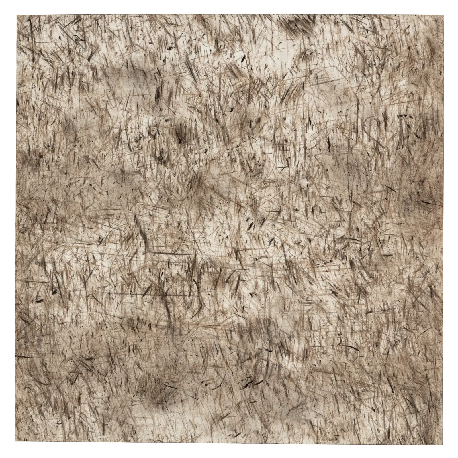 Erin Wiersma, Transect 26 SPA (NW) 3-24-2018, 2018