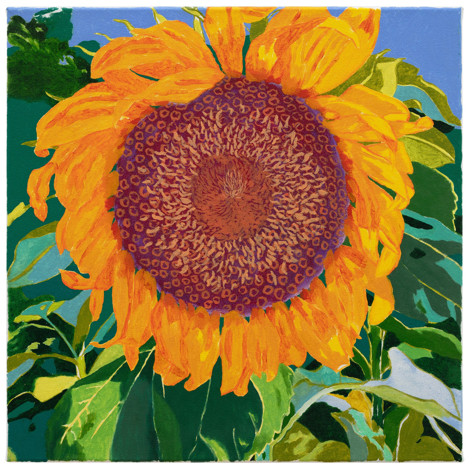 Raana Lehtinen, Lämmin peili, 2025