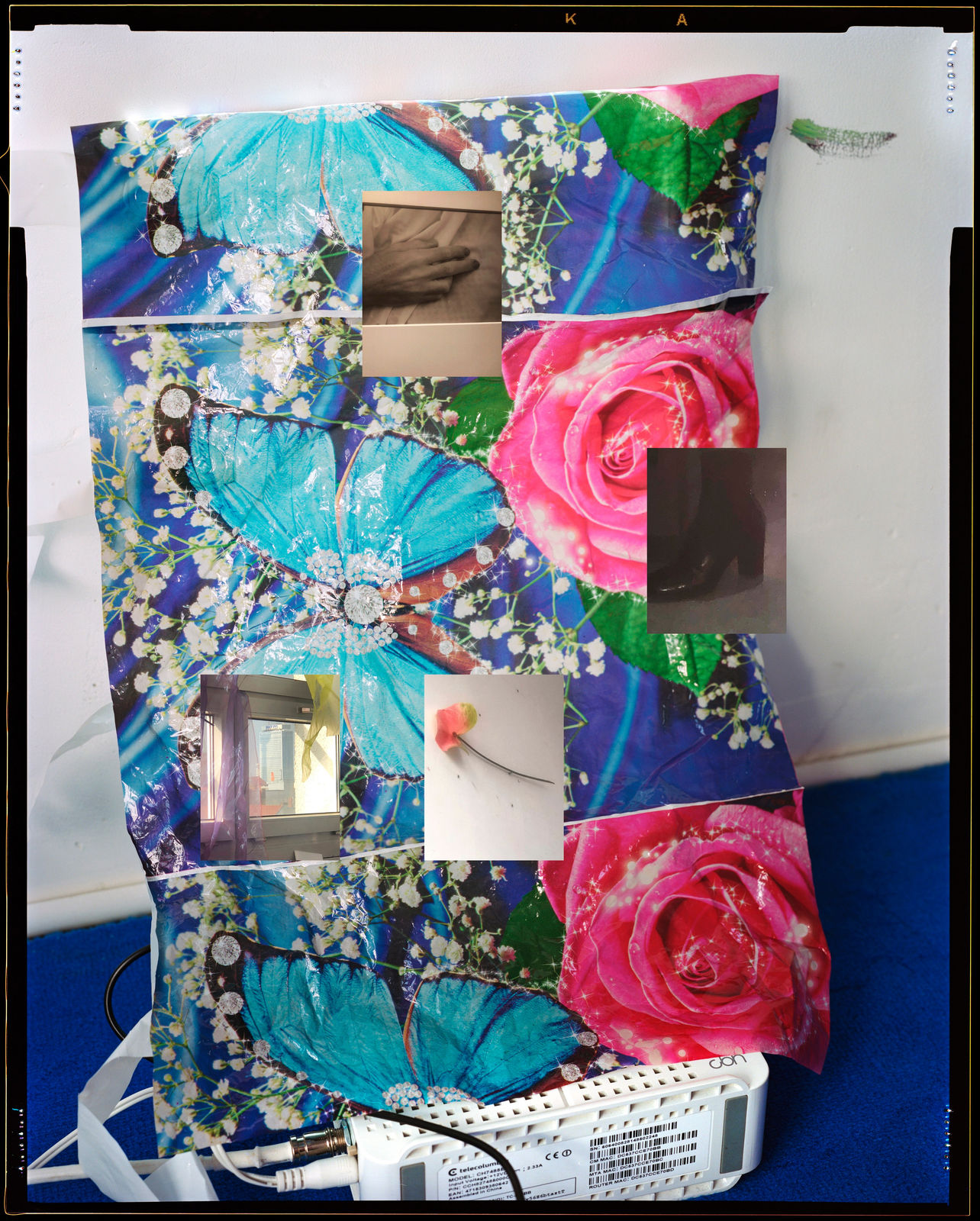 Ketuta Alexi-Meskhishvili, softening, 2019