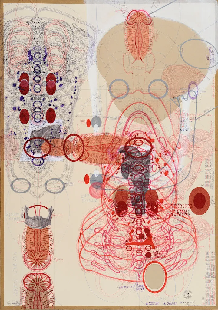 Lubos Plny, Sans titre (20293), 2017