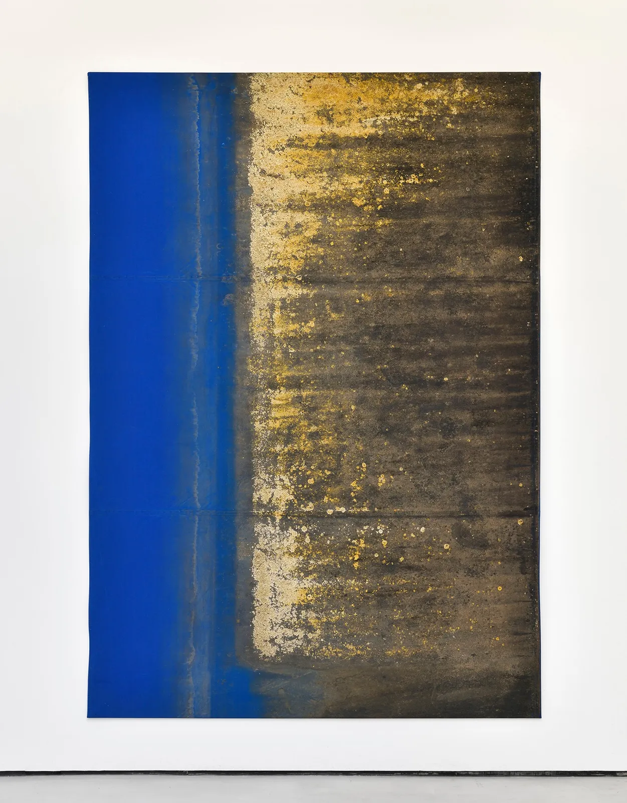 Eric Baudart, jupiter, 2018