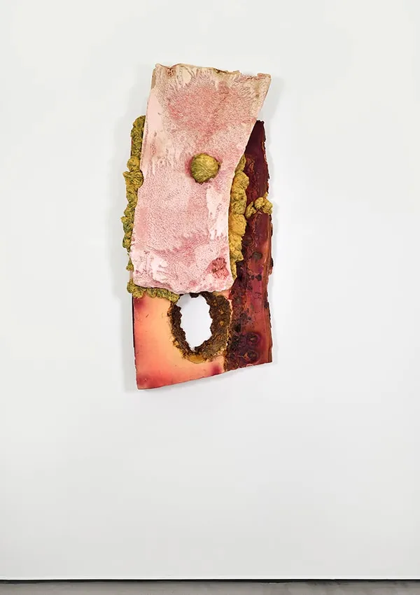Anita Molinero, Sans titre (Croûûûtes), 2018