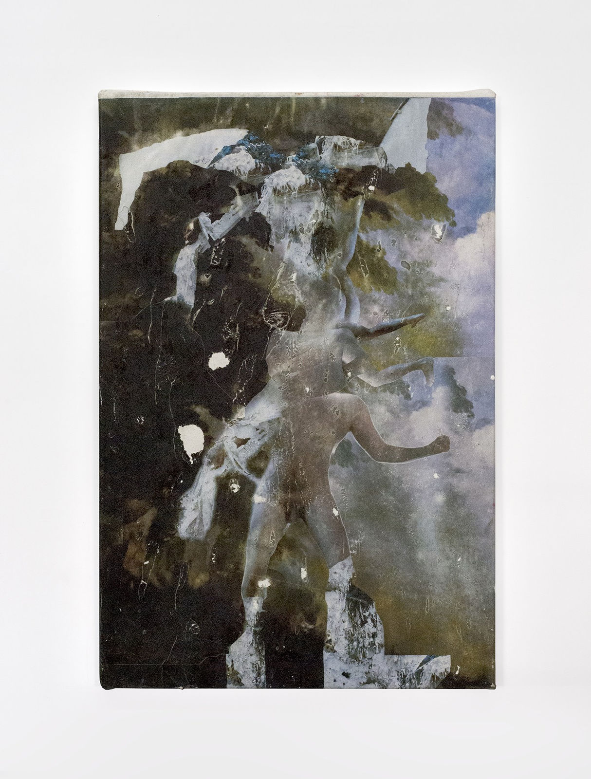 Thibault Hazelzet, Casanova Bragadin Natura 1 , 2020