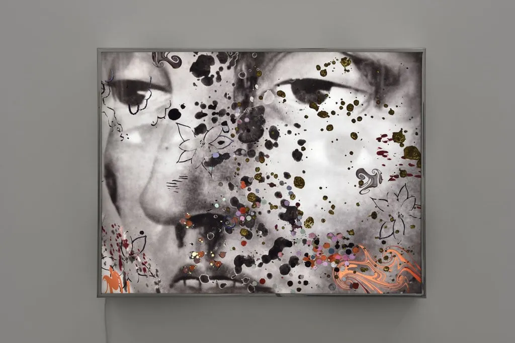 Hélène Delprat, Visage, 2017