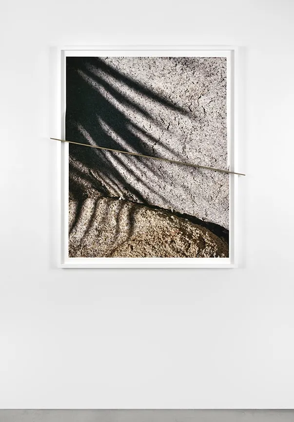 Letha Wilson, Joshua Tree Bronze Push (Shadows Half Split), 2016