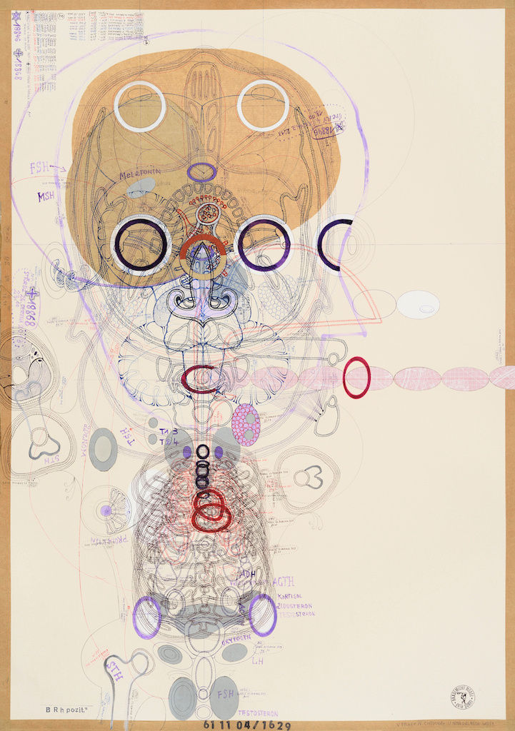 Lubos Plny, Sans titre (18868), 2013