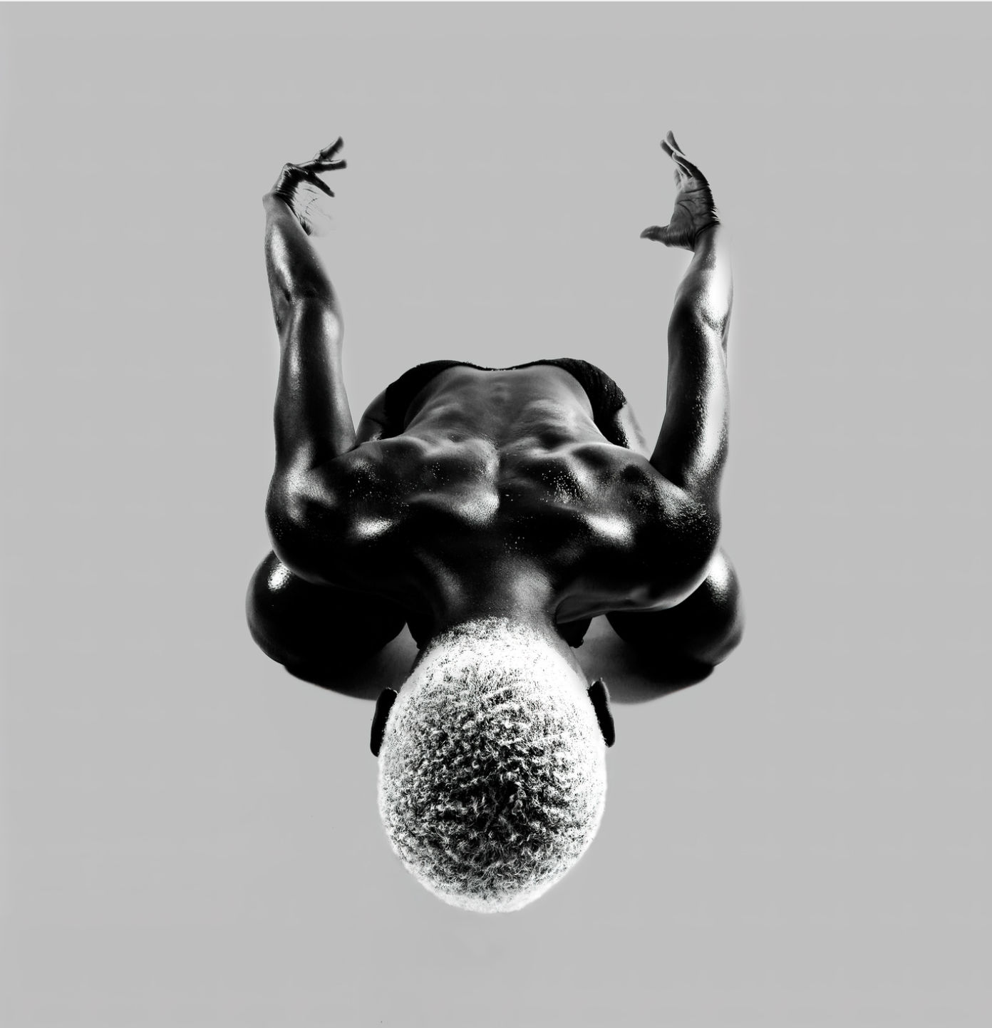 FX PELISSIER, BLACKBIRD I, 2021